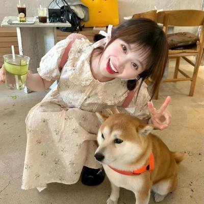 灰色花园